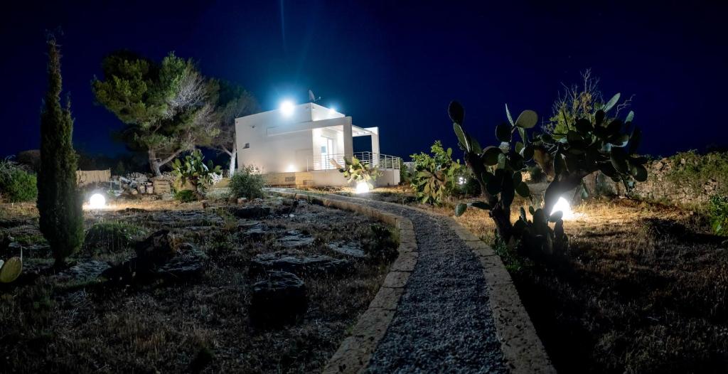Vialetto illuminato tra i fichi d’India